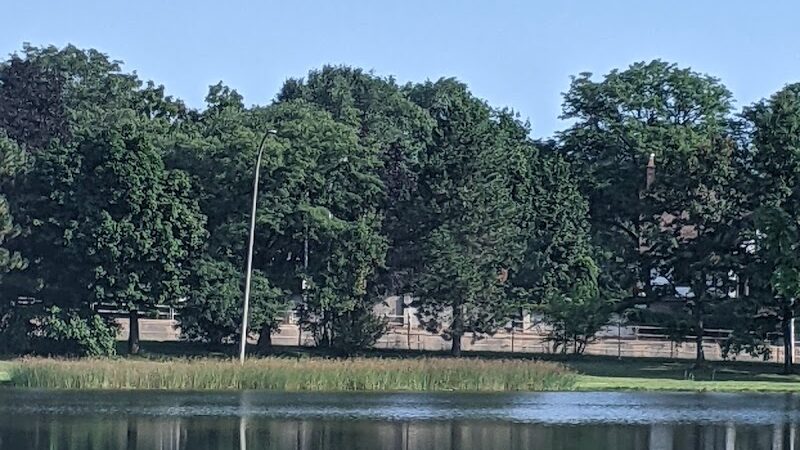 Cobbs Hill Dog Park - Rochester, NY