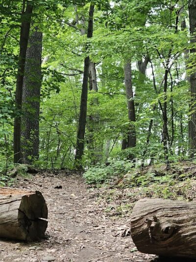 Cobbs Hill Park - Rochester, NY