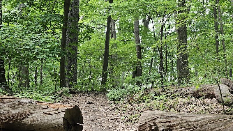 Cobbs Hill Park - Rochester, NY