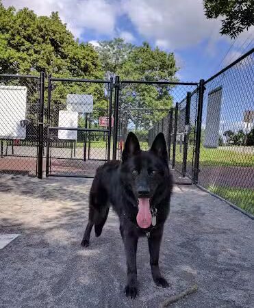 Cobbs Hill Park - Rochester, NY