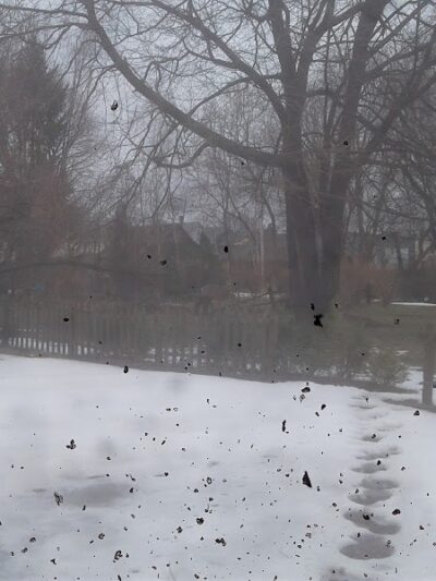 Conkey Corner Park - Rochester, NY