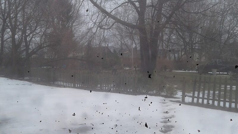 Conkey Corner Park - Rochester, NY