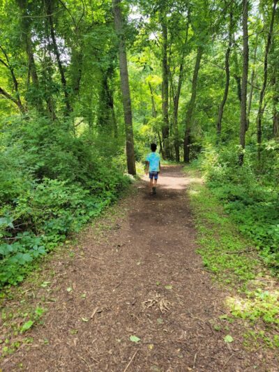 Corbett's Glen Nature Park - Rochester, NY
