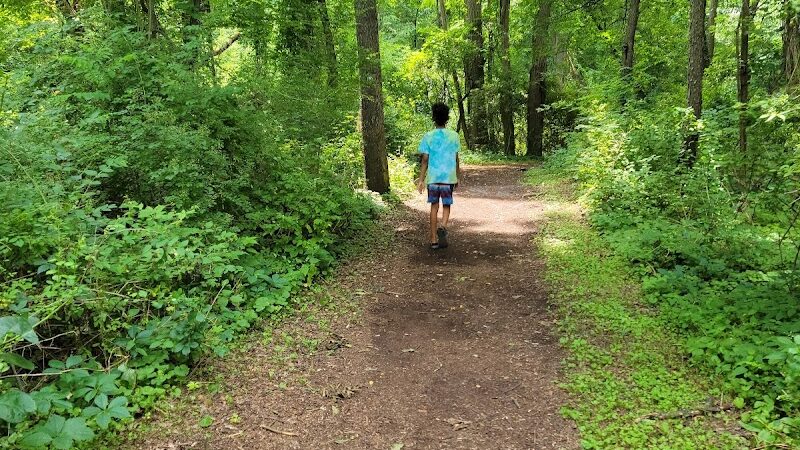 Corbett's Glen Nature Park - Rochester, NY