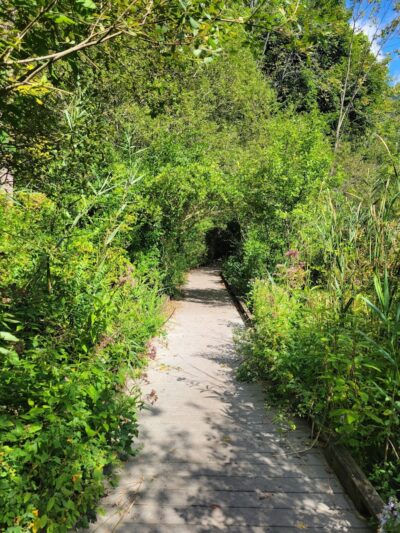 Corbett's Glen Nature Park - Rochester, NY