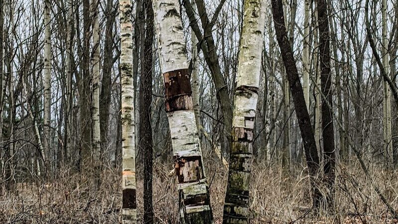 Corbett's Glen Nature Park - Rochester, NY