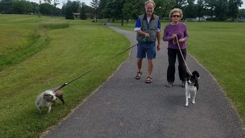 Davis Park (North Entrance) - Rochester, NY