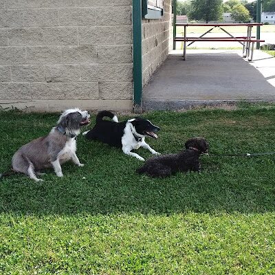 Davis Park (West Entrance) - Rochester, NY