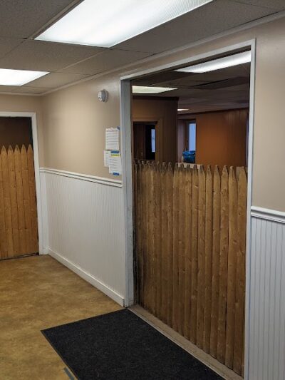 Dogs At Play - Rochester, NY