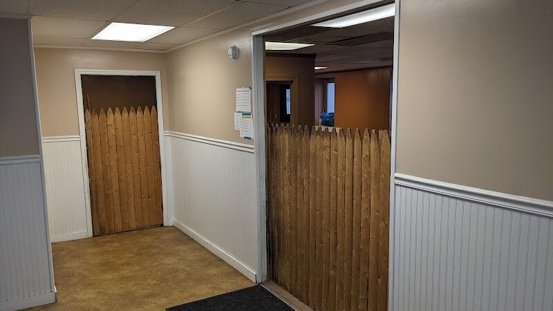 Dogs At Play - Rochester, NY