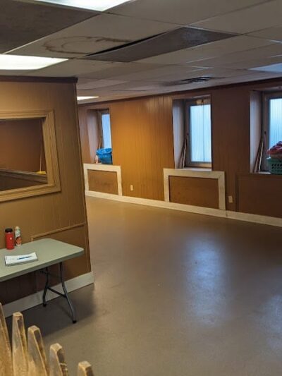 Dogs At Play - Rochester, NY