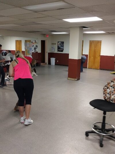 Dogs At Play - Rochester, NY