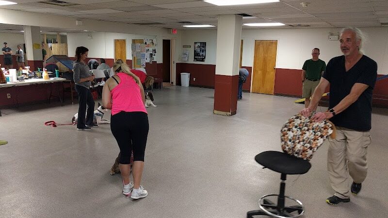 Dogs At Play - Rochester, NY