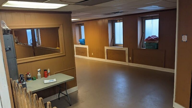 Dogs At Play - Rochester, NY