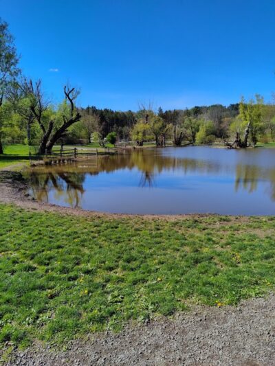 Ellison Dog Park - Rochester, NY