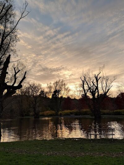 Ellison Dog Park - Rochester, NY