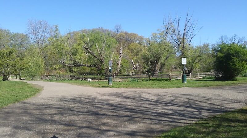 Ellison Dog Park - Rochester, NY