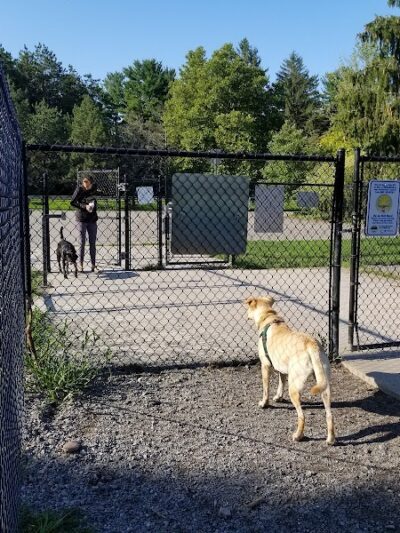Ellison Dog Park - Rochester, NY