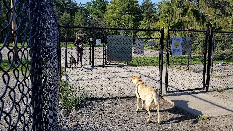 Ellison Dog Park - Rochester, NY