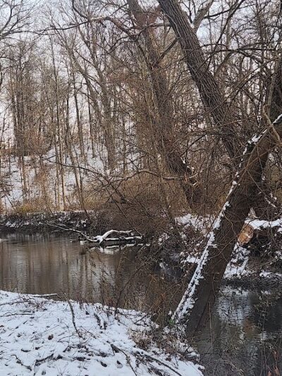 Ellison Dog Park - Rochester, NY