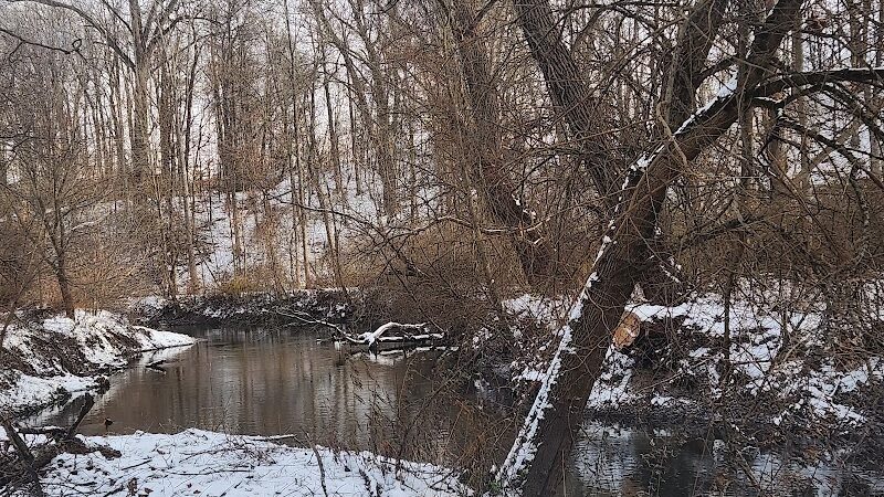 Ellison Dog Park - Rochester, NY