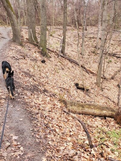 Ellison Park - Rochester, NY