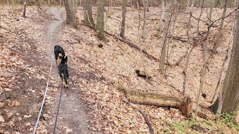 Ellison Park - Rochester, NY