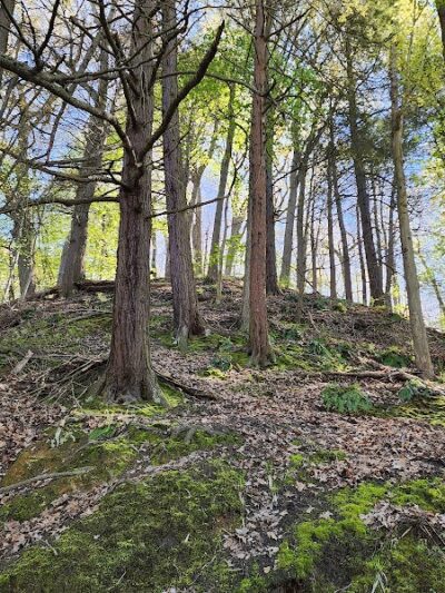 Ellison Park - Rochester, NY