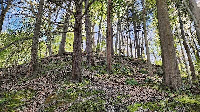 Ellison Park - Rochester, NY