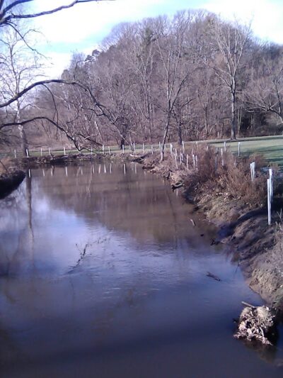 Ellison Park - Rochester, NY