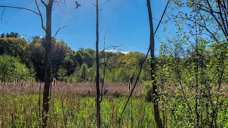 Ellison Park - Rochester, NY