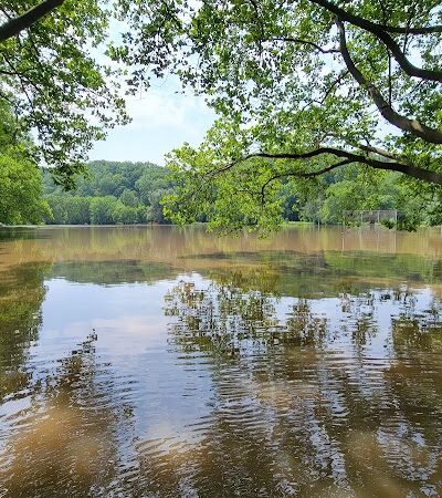 Ellison Park - Rochester, NY
