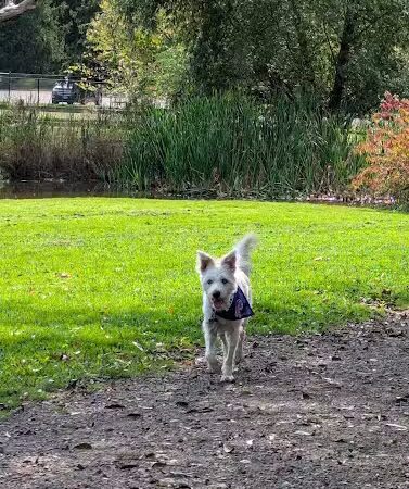 Ellison Park - Rochester, NY