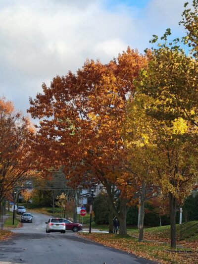 Ellwanger & Barry Park - Rochester, NY