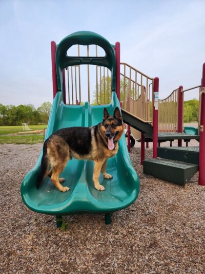 First Responders Park - Rochester, NY