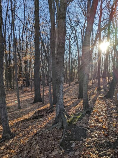 First Responders Park - Rochester, NY