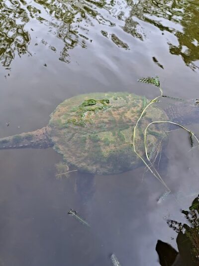 First Responders Park - Rochester, NY