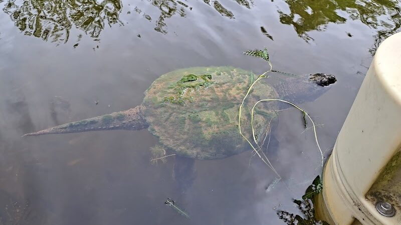 First Responders Park - Rochester, NY