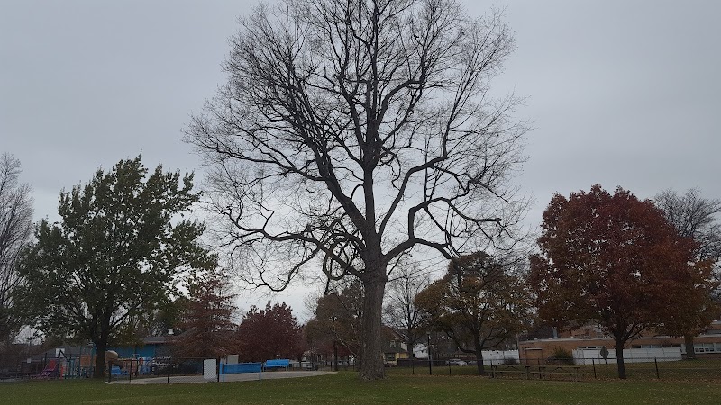 Gardiner Park - Rochester, NY