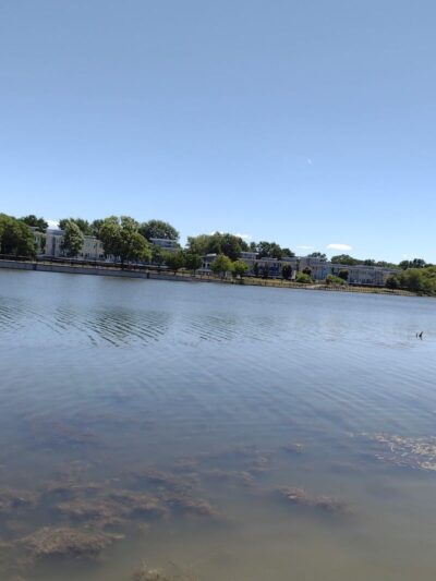 Genesee Gateway Park - Rochester, NY