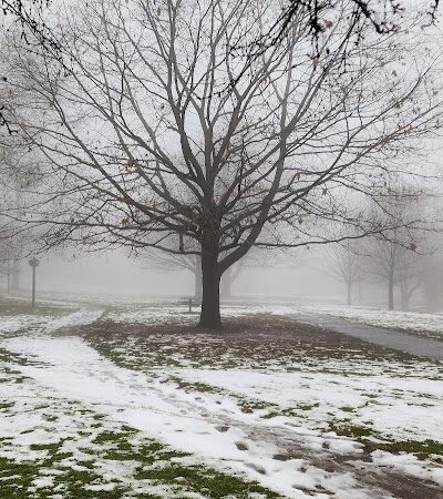 Genesee River Lower Falls at Maplewood Park - Rochester, NY