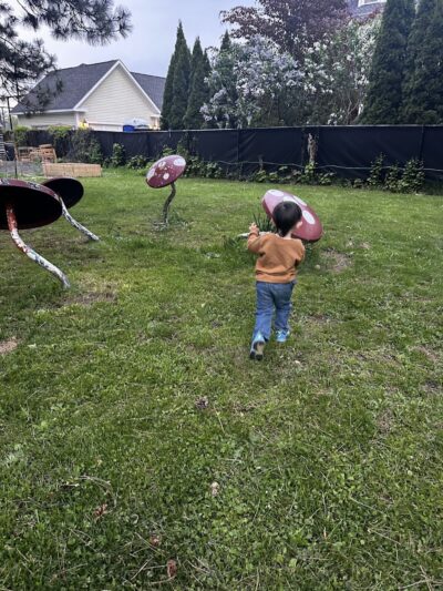 Goodwin Park - Rochester, NY