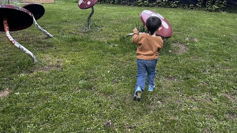 Goodwin Park - Rochester, NY