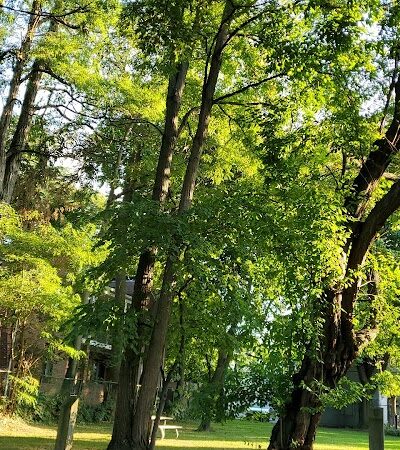 Goodwin Park - Rochester, NY