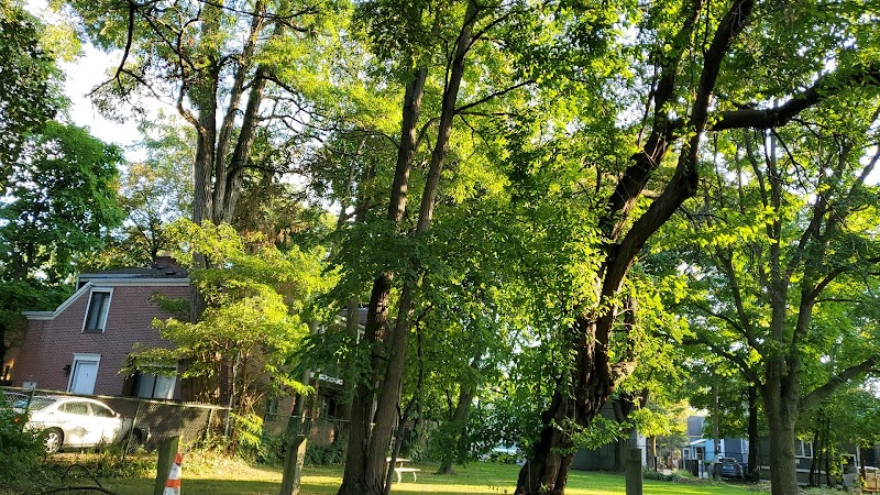 Goodwin Park - Rochester, NY