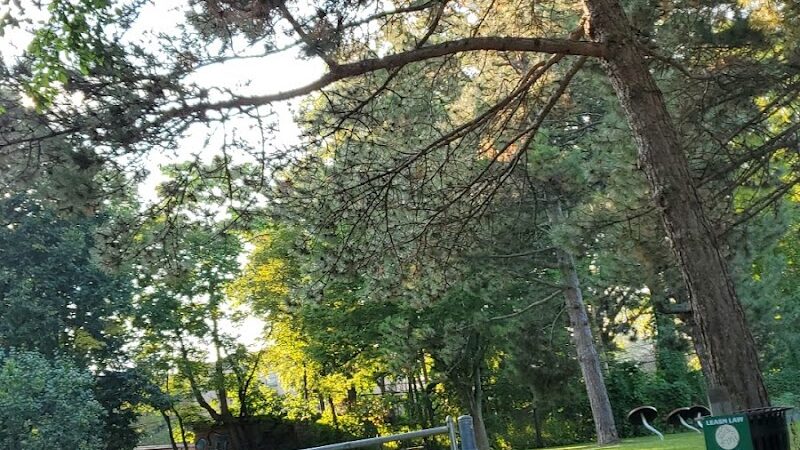 Goodwin Park - Rochester, NY