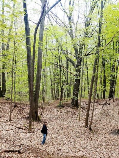 Greece Canal Park - Rochester, NY