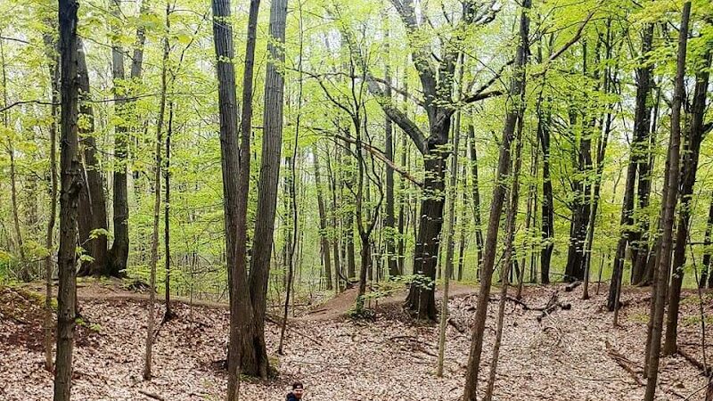 Greece Canal Park - Rochester, NY