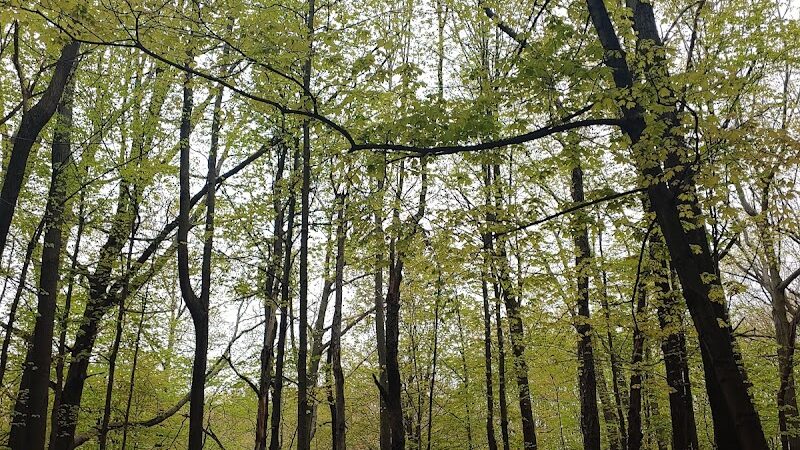 Greece Canal Park - Rochester, NY