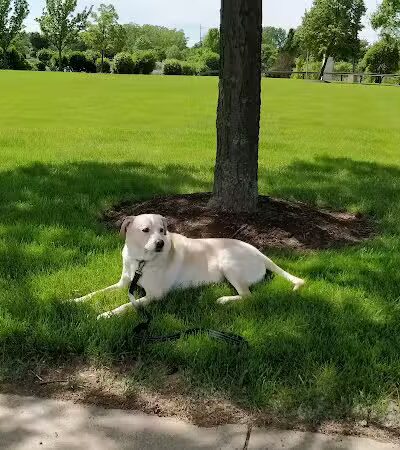 Greece Canal Park - Rochester, NY